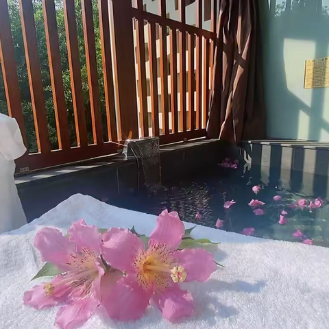 台山颐和温泉城｜佳泉公馆·7房7泡池新中式四合院