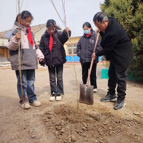 春风吹新绿，植树正当时  新庄子中心小学一起种下春天的希望