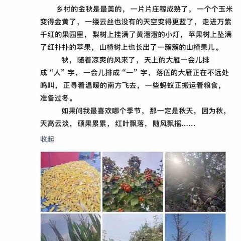 开心假期，快乐语文——双节小长假作业之拍照（311）