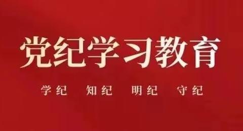 深学细悟强党性 永葆忠诚干净担当  —江边林场党支部举办党纪学习教育读书班