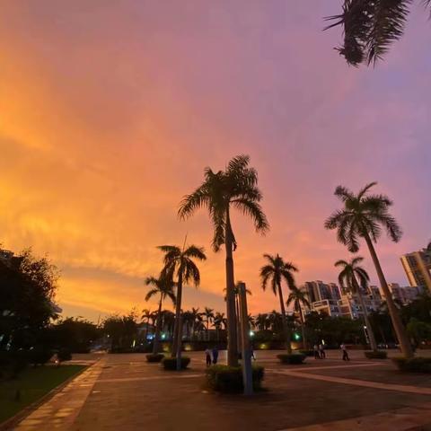 两年的旅校生活