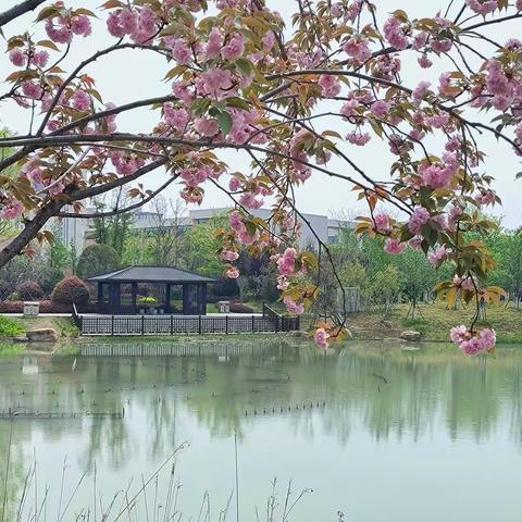 春，暖日融融阳气升。花千树，满园尽芳芬。