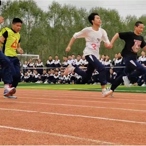 乘风破浪，勇往直前——乐都区贾湾学校支教简报（第四期）