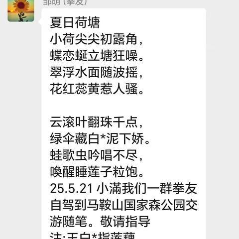 夏日闲趣：荷塘诗韵与户外时光