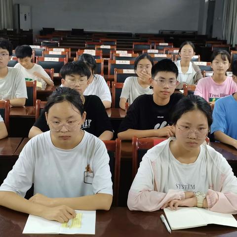 坚定目标，聚力前行—问十乡中举行九年级分层次学生会议