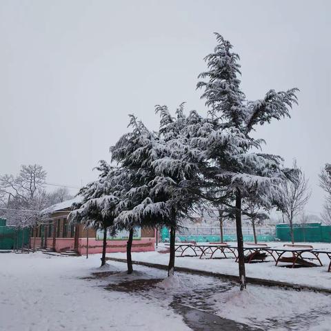 暖心融积雪  爱意满校园——康庄中心校停驷头小学扫除冰雪在行动