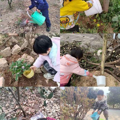 春暖花开，“植”得期待——启智幼儿园植树节主题活动