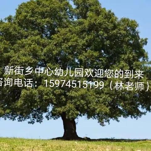 托现在 ，育未来 || 新街乡中心幼儿园2024年春季托班招生啦！