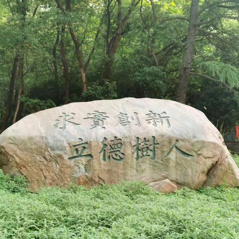 春雨迎客又送春