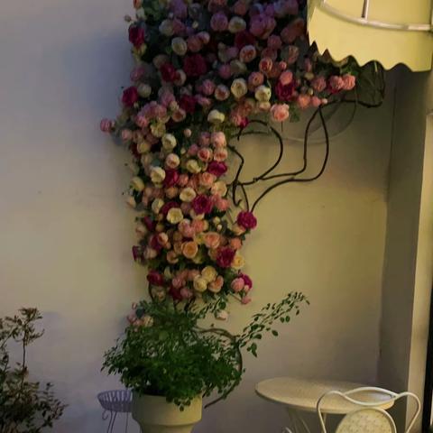 花开有时，衔接有度。