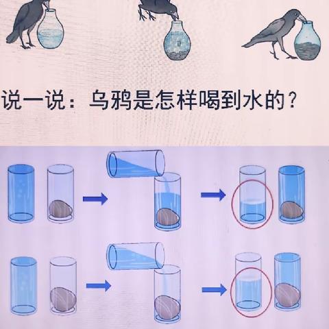 数说明理，善思巧析一一培养小学中高年级学生数学说理能力的研究(课题组3月专题活动)