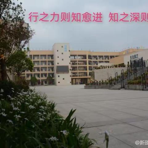 共浴春晖  聚力同行 丨 新邵县思源实验学校第十三周工作总结