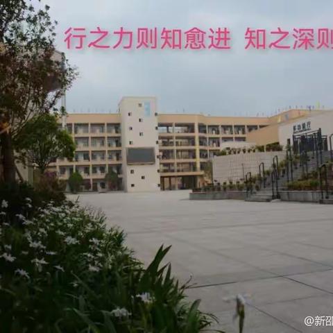 少年自当扶摇上,揽星衔月逐日光｜新邵县思源实验学校第十四、十五周工作总结