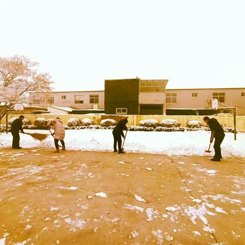 【全环境立德树人】瑞雪纷飞满校园     清雪除冰保平安——云亮小学教职工除雪记