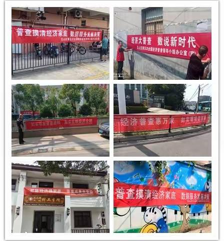 “深学争优、敢为争先、实干争效”推动“党建领航、经济领跑、民生领先”行动，盖山镇五经普宣传工作在行动