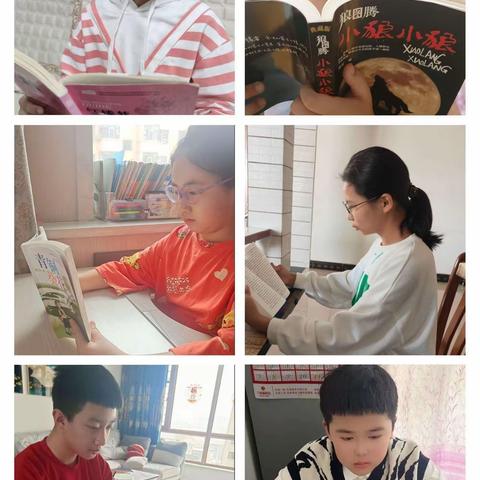 让阅读点亮心声——张甲洲红军小学五年级暑假读书活动纪实