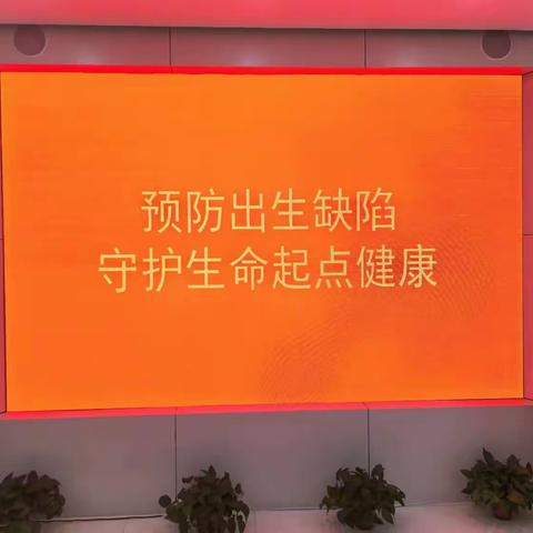 济南市槐荫区道德街街道新世界阳光花园社区计生协开展预防出生缺陷日主题活动