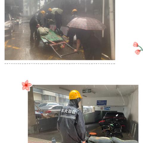 温泉街道东大社区：“汛”速出击，暴风雨中筑牢“安全墙”