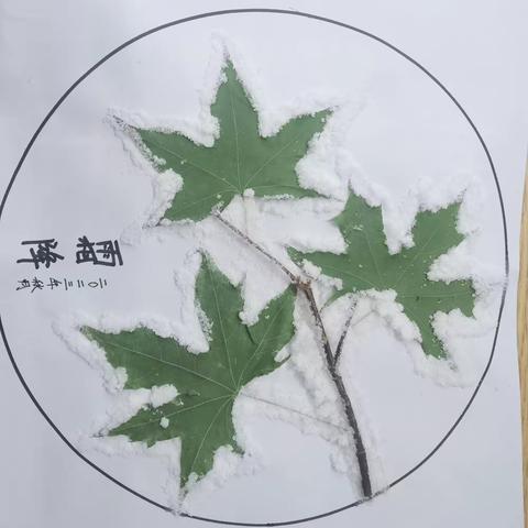 多彩秋天，树叶有“画”说——邱县第二幼儿园亲子树叶粘贴画活动