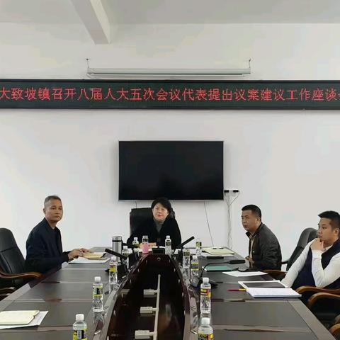 大致坡镇召开八届人大五次会议代表提出议案建议工作座谈会