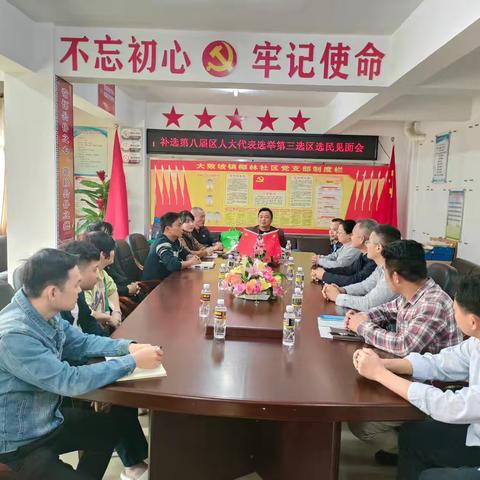 补选第八届区人大代表选举第三选区选民见面会