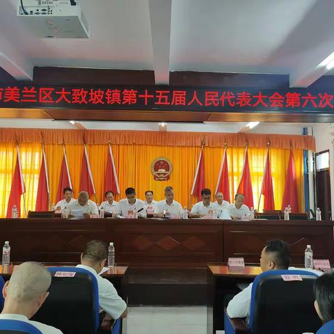 海口市美兰区大致坡镇第十五届人民代表大会第六次会议