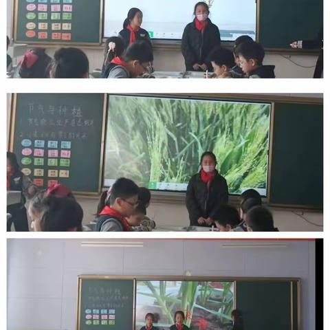 淄川区实验小学南校区：我为学校代言——家长篇