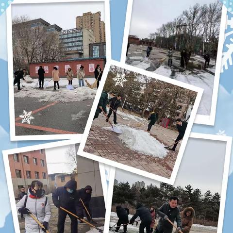 内蒙古老年大学组织党员干部开展扫雪除冰活动