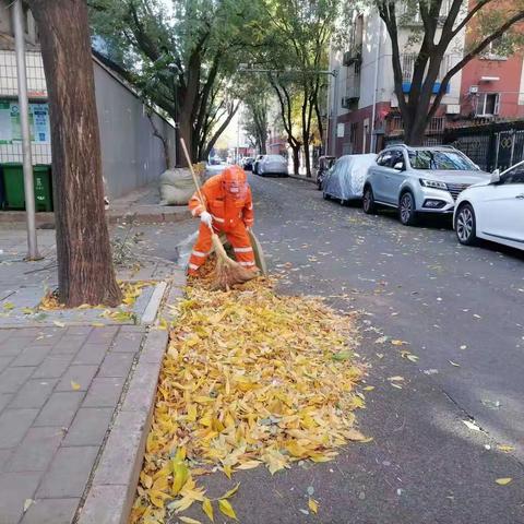 高效有序做好落叶清理工作