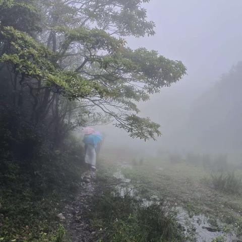 历经风雨雷电，穿越鸡笼顶峰