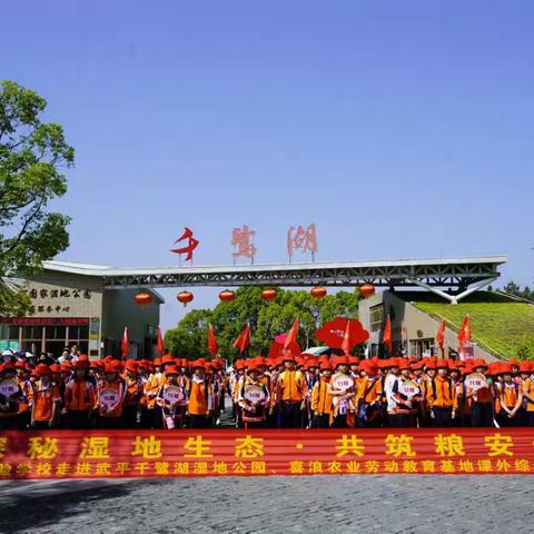 探秘湿地生态，感悟农耕文明——龙岩市实验学校三（17）班综合实践活动