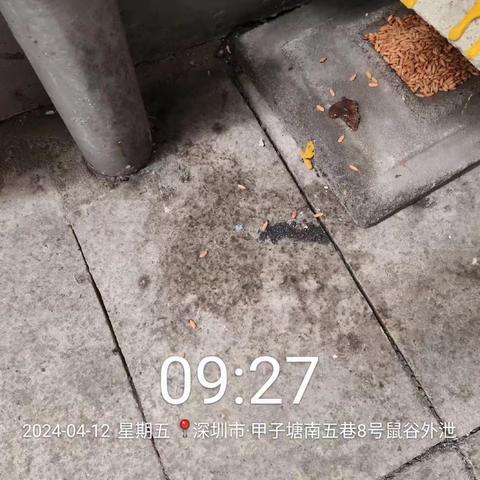 4月12日光明监测组工作动态