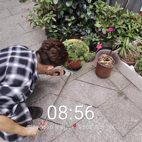 4月20日光明监测组工作动态
