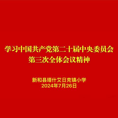 学思践悟 共谱新篇——塔镇小学学习党的二十届三中全会精神