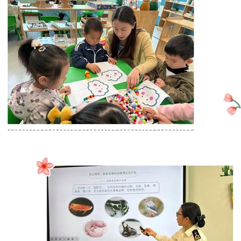 【相信爱·感受爱·拥有爱·传递爱】家长助教活动圆满落幕