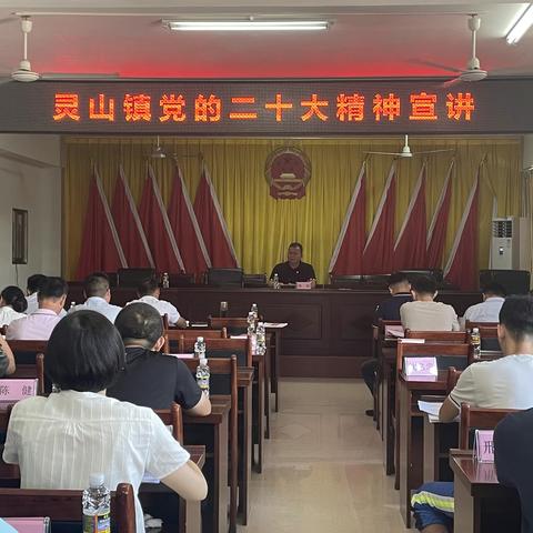 灵山镇党的二十大精神宣讲