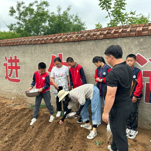 “花”样童年，趣味横“生”——龙泉寺完小花生种植记