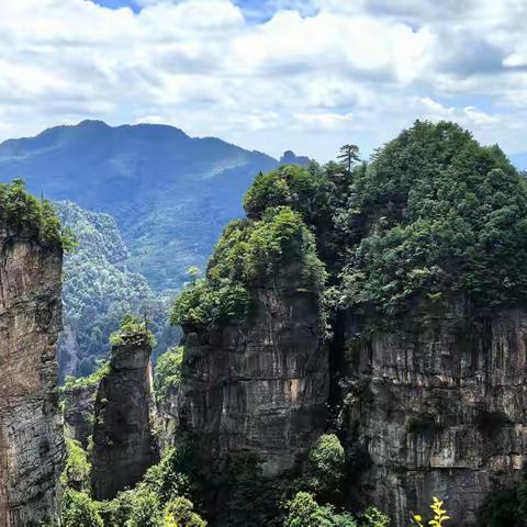 往事如烟（十） 军旅生涯（ 2）入伍第一年遇整编