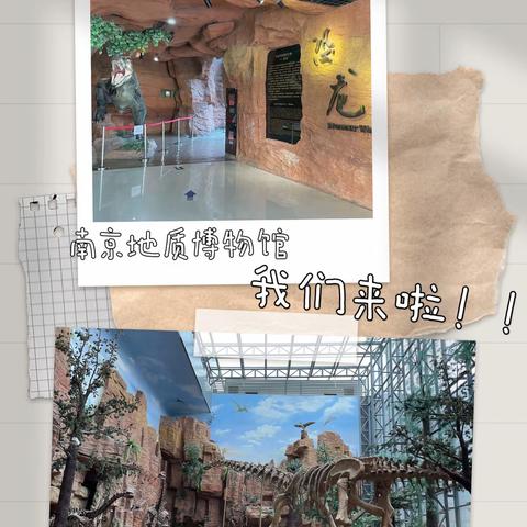 推开时光大门，探寻地质奥秘——南京市行知实验幼儿园中班年级组亲子研学地质博物馆