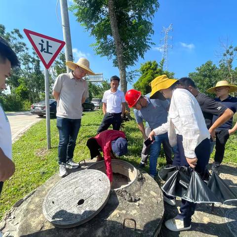 开展定安县塔岭水厂管网延伸工程（美太、春内、茅坡仔、西岸、谭黎、龙岭、罗温等片区）综合竣工验收工作