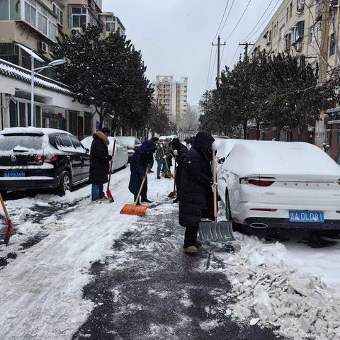 【东关街道】菜市新村社区“迎战暴风雨 守护出行路”扫雪志愿服务活动