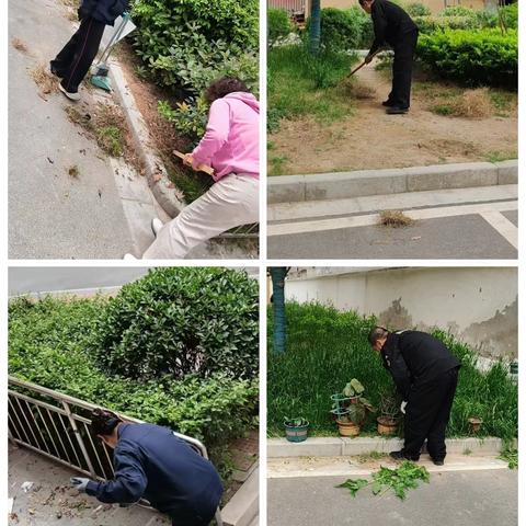 长乐中路街道康乐社区开展“扮靓社区环境 文明喜迎五一”卫生整治活动