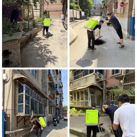 消杀除害护家园——长乐中路街道康乐社区开展病媒生物防制活动