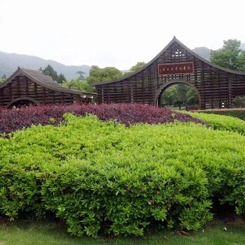 5月21日游览宁波天童寺并体验老同学的音乐沙龙