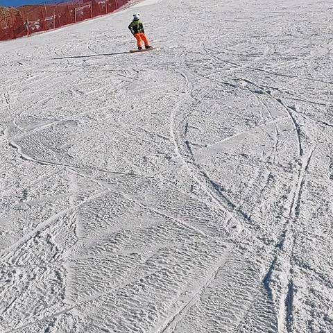 [二实小·活动篇]点燃运动激情，绽放青春活力，小店区第二实验小学四年五班寒假运动活动