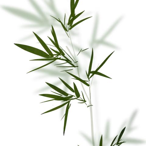 欢乐幼儿园端午假期放假通知及假期温馨提示