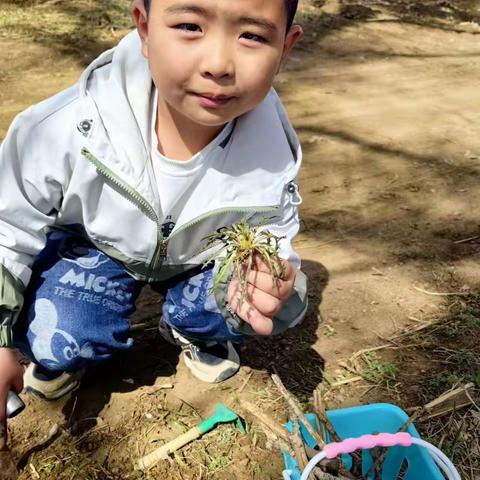 春暖花开日，劳动正当时