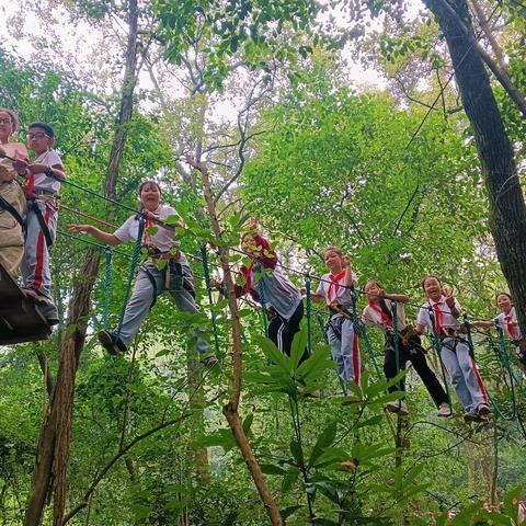 “新少年 新研学”2023年秋季谢家湾（金茂）小学“体育之旅”烈士墓+飞越丛林研学实践活动