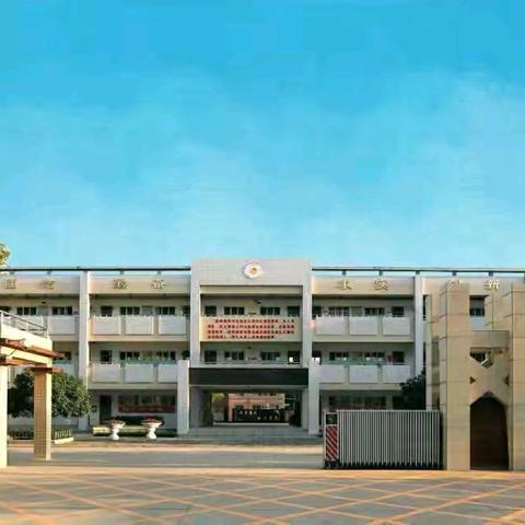 西安惠安小学“守护蓝天精灵，共筑生态家园”爱鸟护鸟活动总结
