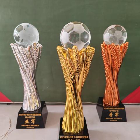 绿茵赛场传捷报 安中足球绽芳华 ——安源中学斩获2025年萍乡市校园足球联赛多项殊荣